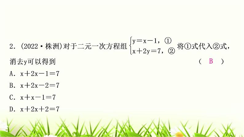 中考数学复习第二章方程(组)与不等式(组)第一节一次方程(组)及其应用作业课件03