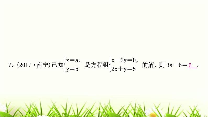 中考数学复习第二章方程(组)与不等式(组)第一节一次方程(组)及其应用作业课件07