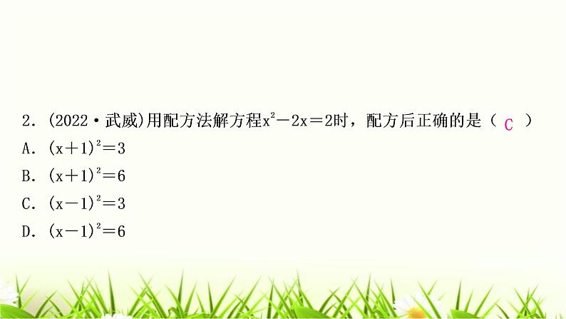 中考数学复习第二章方程(组)与不等式(组)第二节一元二次方程及其应用作业课件03