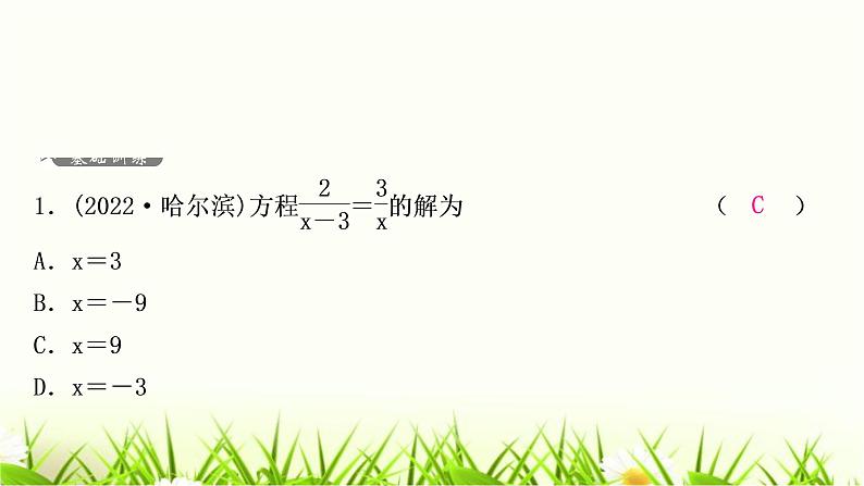 中考数学复习第二章方程(组)与不等式(组)第三节分式方程及其应用作业课件02