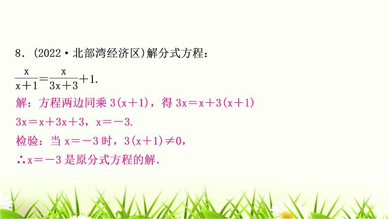 中考数学复习第二章方程(组)与不等式(组)第三节分式方程及其应用作业课件08