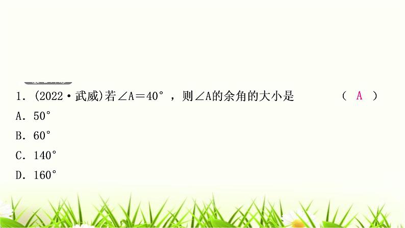 中考数学复习第四章三角形第一节几何初步及相交线与平行线作业课件01