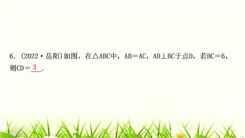 中考数学复习第四章三角形第三节等腰三角形与直角三角形作业课件07