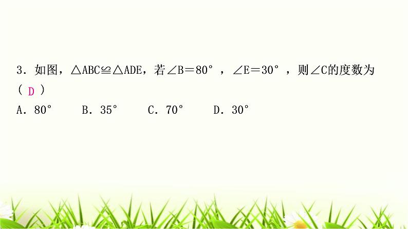 中考数学复习第四章三角形第四节全等三角形作业课件第4页