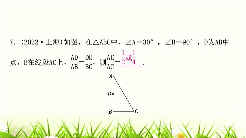 中考数学复习第四章三角形第五节图形的相似作业课件08