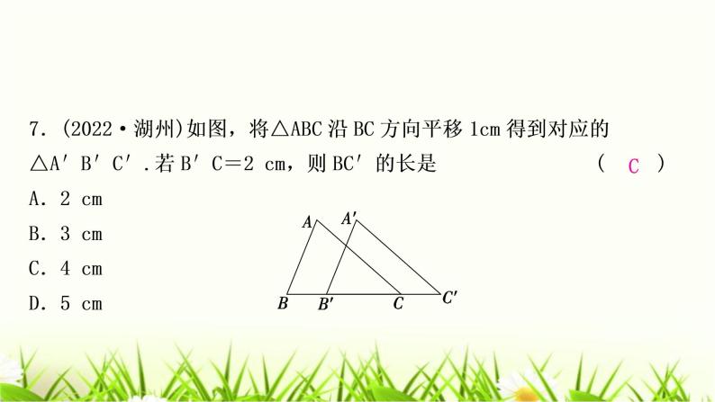 中考数学复习第七章作图与图形变换第三节图形的平移、旋转、对称与位似作业课件08