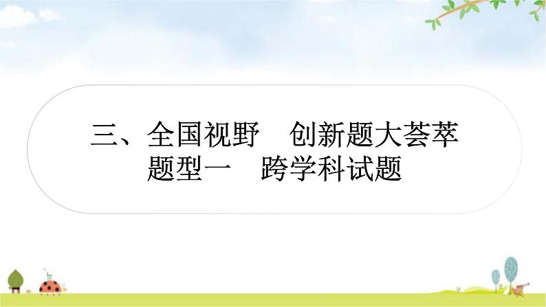 中考数学复习题型一跨学科试题教学课件第1页