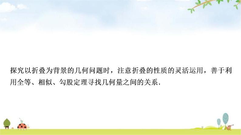 中考数学复习重难点突破几何综合探究题类型三：折叠问题教学课件08