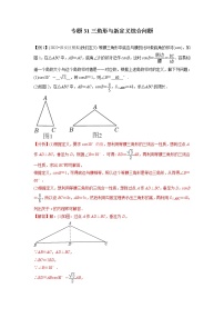 中考数学二轮压轴培优专题31三角形与新定义综合问题（教师版）