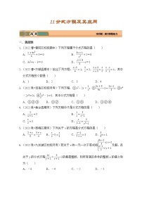 考点11 分式方程及其应用（精练）