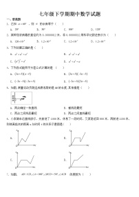 广东省河源市紫金县2023年七年级下学期期中数学试题【含答案】