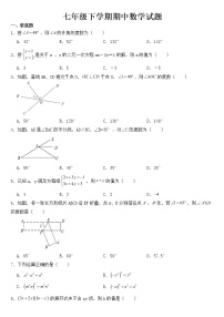 山东省聊城市临清市2023年七年级下学期期中数学试题【含答案】