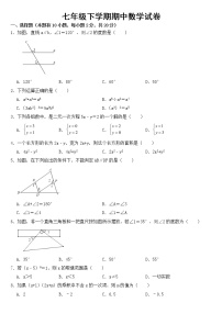 浙江省绍兴市2023年七年级下学期期中数学试卷【含答案】