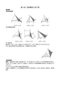 中考数学二轮培优专题精讲 第3讲 几何模型之双子型 (含详解)