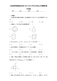 云南省楚雄彝族自治州2022-2023学年九年级上学期期末数学试题（含答案）