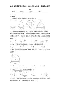 山东省淄博市淄川区2022-2023学年九年级上学期期末数学试题（含答案）