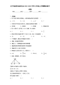 辽宁省沈阳市新民市2022-2023学年七年级上学期期末数学试题（含详细答案）