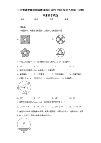 云南省德宏傣族景颇族自治州2022-2023学年九年级上学期期末数学试题（含详细答案）