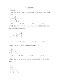 北师大版八年级下册2 直角三角形同步测试题