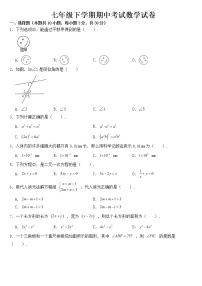 浙江省温州市龙湾经开区2023年七年级下学期期中数学试卷【含答案】