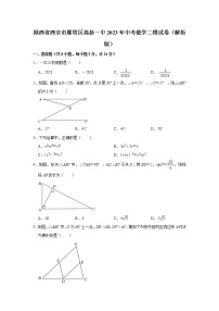 2023年陕西省西安市雁塔区 西安高新第一中学中考数学二模试卷(含答案)