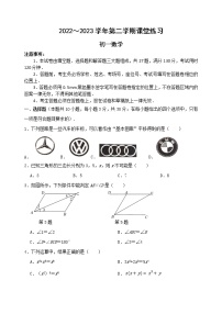 江苏省苏州市吴江区梅震平教育集团2022-2023学年七年级下学期课堂练习（月考）数学试卷