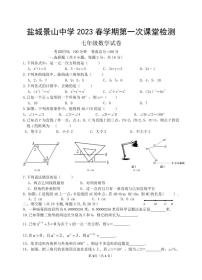 江苏省盐城市景山中学 2022-2023学年七年级下学期第一次课堂检测（月考）数学试卷