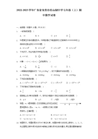 2022-2023学年广东省东莞市松山湖中学七年级（上）期中数学试卷(解析版)