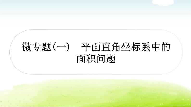 中考数学复习微专题(一)平面直角坐标系中的面积问题教学课件第1页