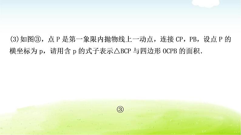 中考数学复习类型二：二次函数与图形面积问题教学课件第7页