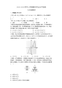 湖南省郴州市嘉禾县校际联考2022-2023学年九年级上学期期末数学试题(含答案)