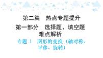 中考总复习数学 专题 1   图形的变化（轴对称、平移、旋转）课件