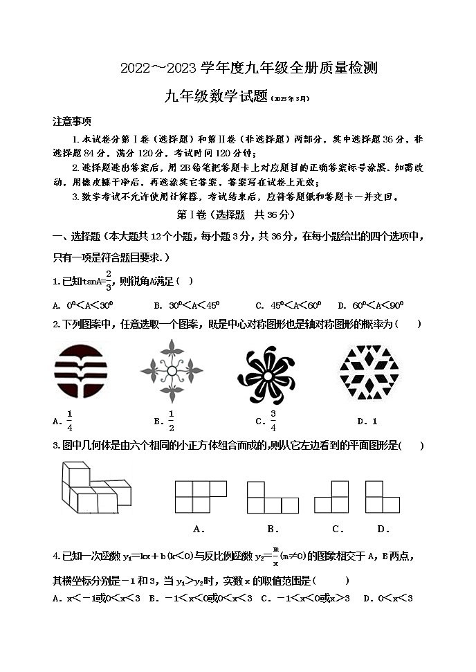 泰安市泰山区泰山学院附属中学2022～2023学年度九年级全册质量检测试题和答案01