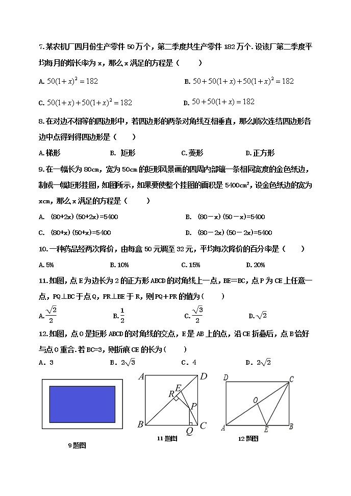 泰安市泰山区泰山实验中学2023年八年级第二学期期中考试试题和答案第2页