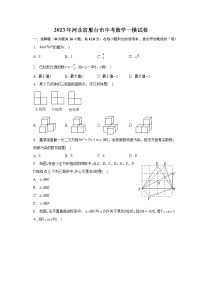 2023年河北省邢台市中考数学一模试卷（含解析）