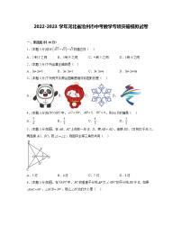 2022-2023学年河北省沧州市中考数学专项突破模拟试卷（含解析）