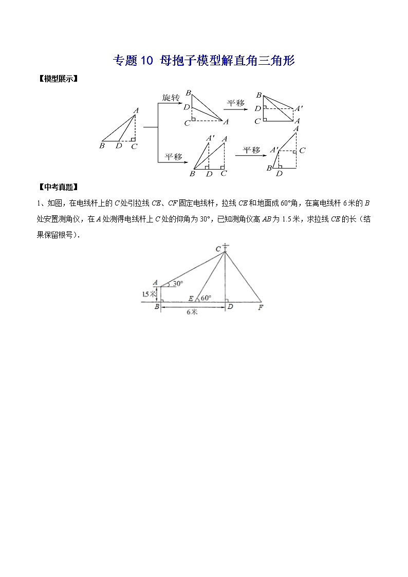 中考经典几何模型与最值问题 专题10 母抱子模型解直角三角形01