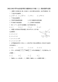 2022-2023学年山东省枣庄市滕州市八年级（上）期末数学试卷(含解析）