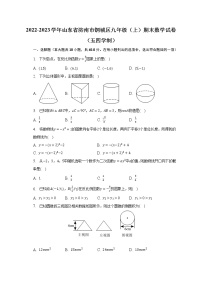 2022-2023学年山东省济南市钢城区九年级（上）期末数学试卷（五四学制）(含解析）