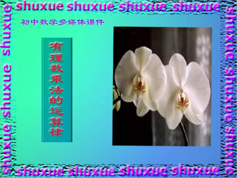 鲁教版六年级上课册数学2.7有理数的乘法（第二课时）课件PPT03