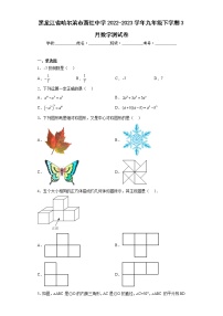 黑龙江省哈尔滨市萧红中学2022-2023学年九年级下学期3月数学测试卷（含详细答案） (2)