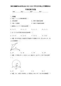 湖北省襄阳市老河口市2022-2023学年九年级上学期期末水平测试数学试题（含详细答案）