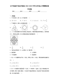 辽宁省葫芦岛市兴城市2022-2023学年九年级上学期期末数学试题（含详细答案）