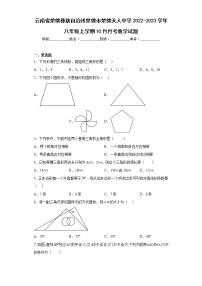 云南省楚雄彝族自治州楚雄市楚雄天人中学2022-2023学年八年级上学期10月月考数学试题（含详细答案）