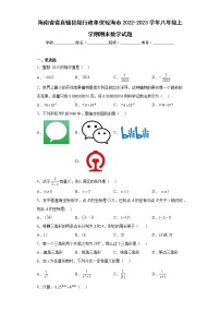 海南省省直辖县级行政单位琼海市2022-2023学年八年级上学期期末数学试题(含答案)