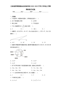 云南省楚雄彝族自治州南华县2022-2023学年八年级上学期期末数学试题(含答案)