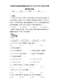 云南省玉溪市峨山彝族自治县2022-2023学年七年级上学期期末数学试题(含答案)