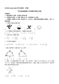 辽宁省大连市庄河市2022-2023学年八年级上学期期末数学试题（含答案）