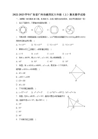 2022-2023学年广东省广州市越秀区八年级（上）期末数学试卷（含解析）