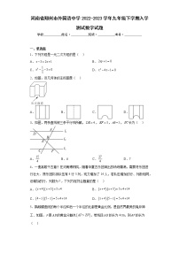 河南省郑州市外国语中学2022-2023学年九年级下学期入学测试数学试题